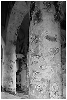 Columns in Stele Pavilion, Tu Duc Mausoleum. Hue, Vietnam ( black and white)