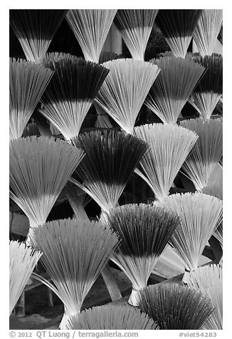 Multicolored incense sticks. Hue, Vietnam (black and white)