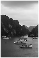 Elevated view of white tour boats and islets. Halong Bay, Vietnam (black and white)