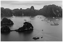 White tour boats and limestone islands covered in tropical vegetation. Halong Bay, Vietnam (black and white)