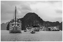 White tour boats. Halong Bay, Vietnam (black and white)