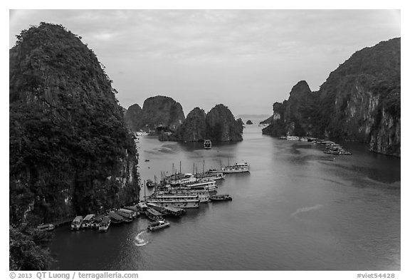 Tour boats anchored at base of island. Halong Bay, Vietnam (black and white)