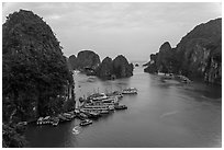 Tour boats anchored at base of island. Halong Bay, Vietnam (black and white)