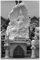 Stone carvings with No Camera No picture sign. Vietnam ( black and white)