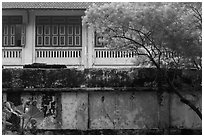 Weathered walls. Hanoi, Vietnam (black and white)