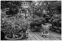 Tran Hung Dao temple gardens. Ho Chi Minh City, Vietnam ( black and white)