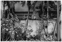 Trees and walls, Tran Hung Dao temple. Ho Chi Minh City, Vietnam (black and white)