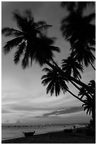 Beach at sunset with palm trees and coracle boats. Mui Ne, Vietnam ( black and white)