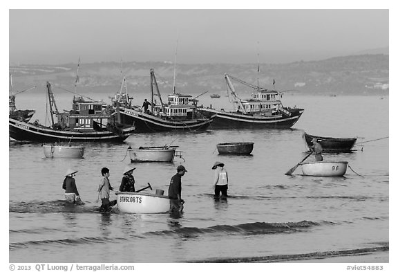 Fishermen use coracle boats to bring back catch from fishing boats. Mui Ne, Vietnam (black and white)