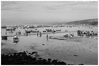Beach and fishing fleet, early morning. Mui Ne, Vietnam ( black and white)