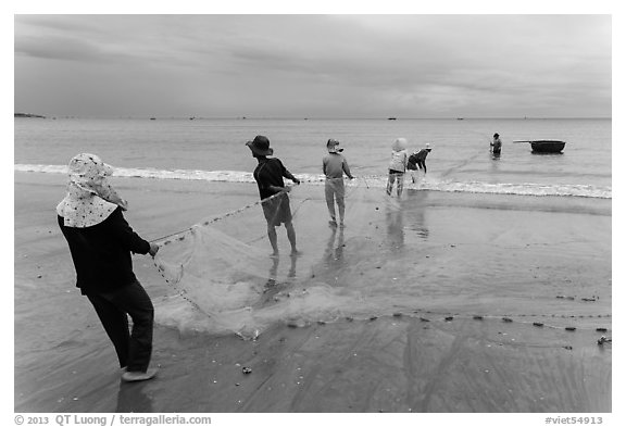 Fishermen lining up to pull net onto beach. Mui Ne, Vietnam (black and white)