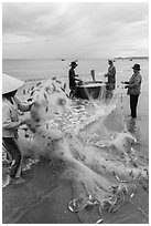 Woman folding fishing net. Mui Ne, Vietnam ( black and white)
