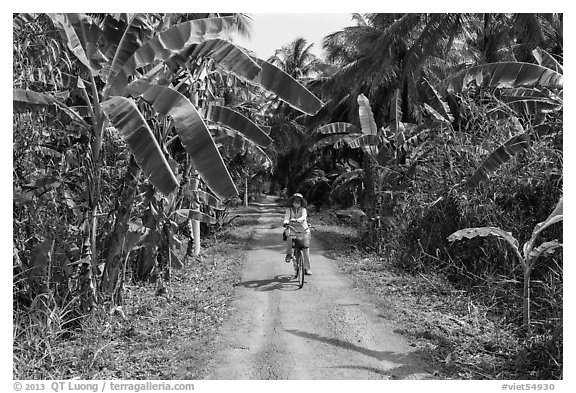 Woman bicycling on narrow road surrounded by banana trees. Ben Tre, Vietnam (black and white)