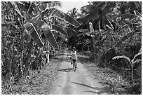 Woman bicycling on narrow road surrounded by banana trees. Ben Tre, Vietnam ( black and white)