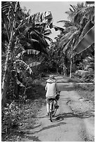 Bicyclist on rural road surrounded by banana and coconut trees. Ben Tre, Vietnam (black and white)