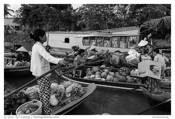 Floating market, Phung Diem. Can Tho, Vietnam