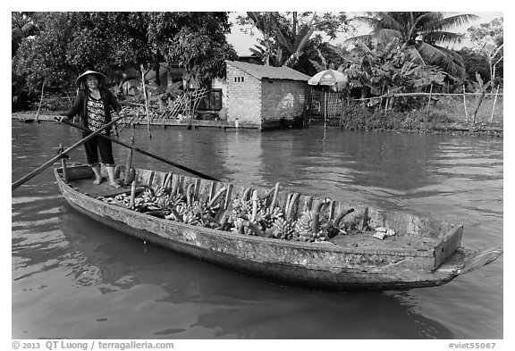 Woman paddling sampan loaded with bananas. Can Tho, Vietnam (black and white)