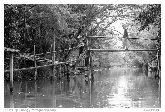Villagers crossing monkey bridge. Can Tho, Vietnam