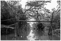 Woman traversing monkey bridge. Can Tho, Vietnam ( black and white)