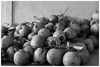 Coconuts. Can Tho, Vietnam (black and white)