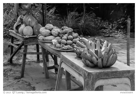 Fruit stand. Can Tho, Vietnam (black and white)