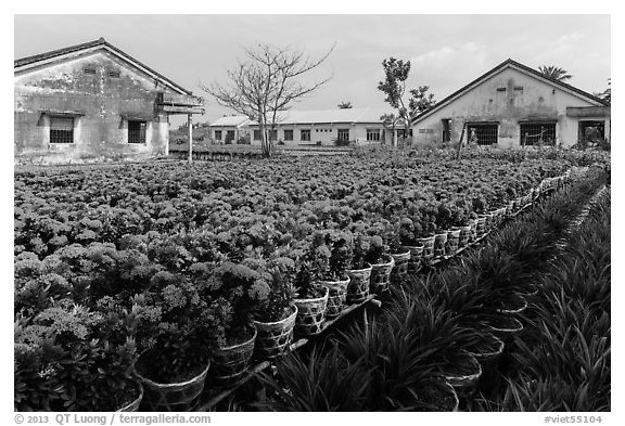 Flower nursery. Sa Dec, Vietnam (black and white)