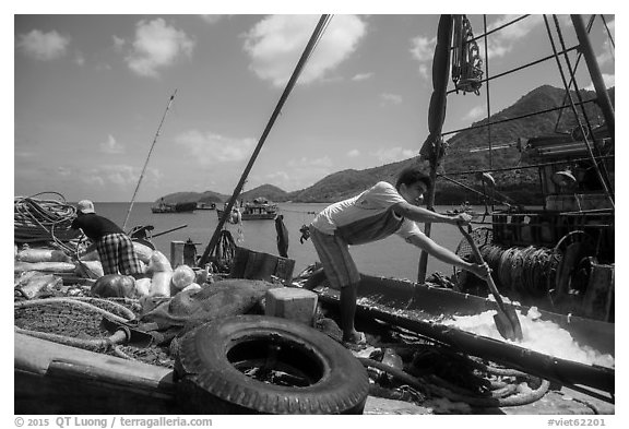 Man scoops ice into fishing boat, Ben Dam. Con Dao Islands, Vietnam (black and white)