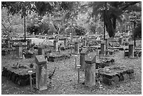 Graves memorializing independence fighters who died in jail. Con Dao Islands, Vietnam ( black and white)