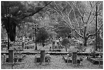 Graves, Hang Duong Cemetery. Con Dao Islands, Vietnam ( black and white)