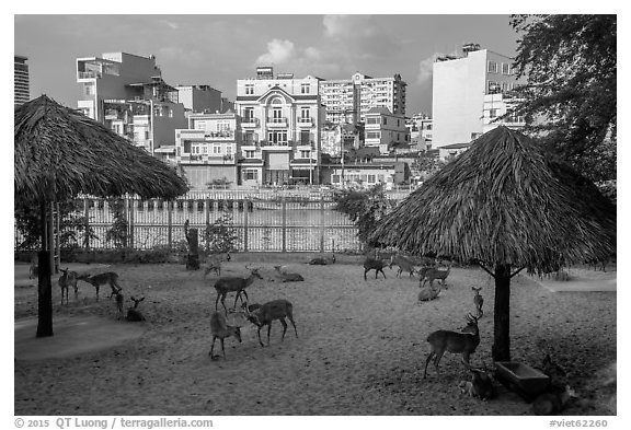 Saigon zoo and neighborhood across river. Ho Chi Minh City, Vietnam (black and white)