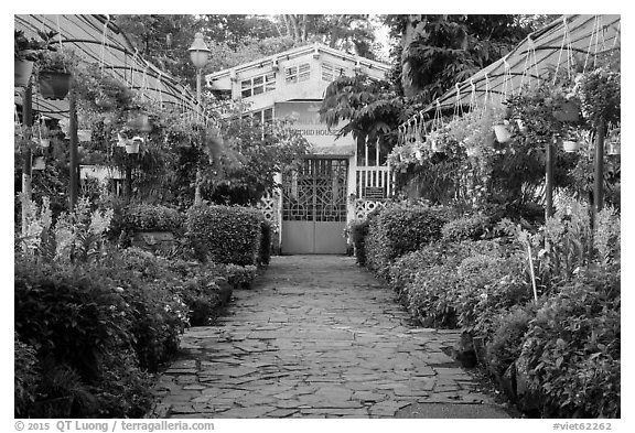 Orchid house, Saigon botanical garden. Ho Chi Minh City, Vietnam (black and white)