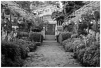 Orchid house, Saigon botanical garden. Ho Chi Minh City, Vietnam ( black and white)