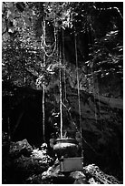 Urn and lianas near the entrance of upper cave, Phong Nha Cave. Vietnam ( black and white)