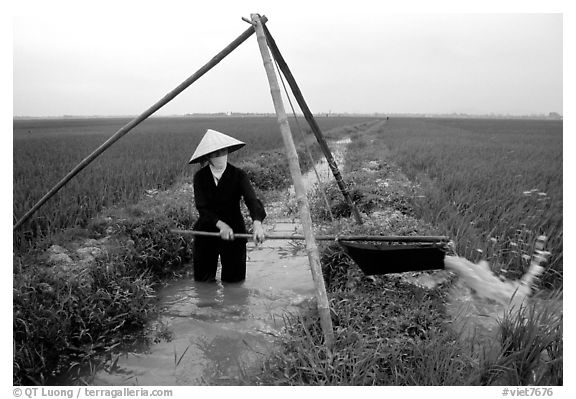Woman doing irrigation work in a rice field. Vietnam