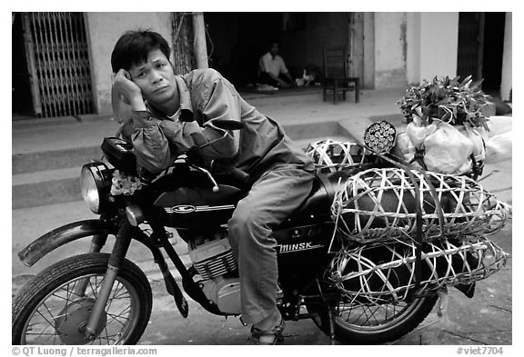Man on a Russian-made Minsk loaded with live pigs. Northest Vietnam (black and white)