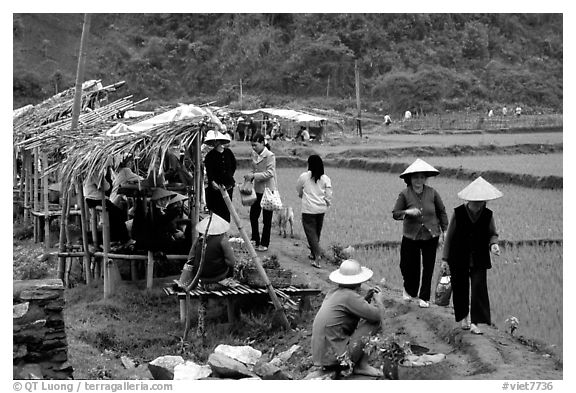 Market set on a dyke amongst rice fields near Ba Be Lake. Northeast Vietnam (black and white)