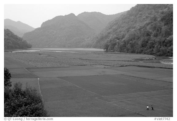 Rice fields below the Pac Ngoi village on the shores of Ba Be Lake. Northeast Vietnam (black and white)