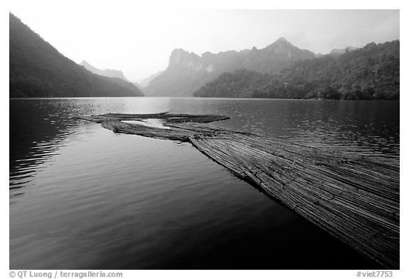 Wood being floated on Ba Be Lake. Northeast Vietnam