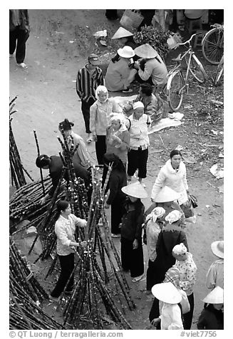 Cane sugar stand seen from above, Cho Ra Market. Northeast Vietnam (black and white)