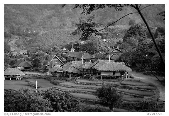 Thai village of stilt houses, near Mai Chau. Northwest Vietnam