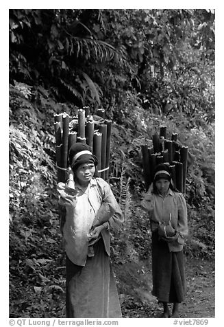 Montagnard women carrying bamboo sections, near Lai Chau. Northwest Vietnam