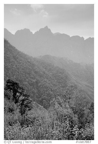 Forests and peaks in the Tram Ton Pass area. Sapa, Vietnam (black and white)