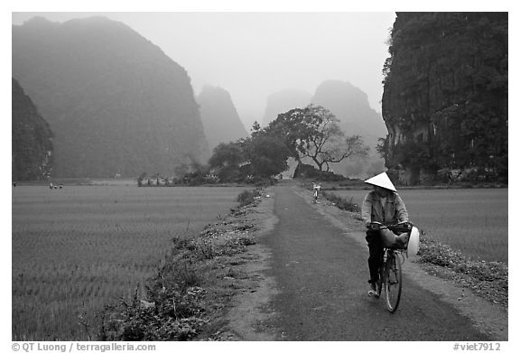 Bicyclist on a dry levee. Ninh Binh,  Vietnam (black and white)