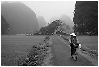 Bicyclist on a dry levee. Ninh Binh,  Vietnam ( black and white)