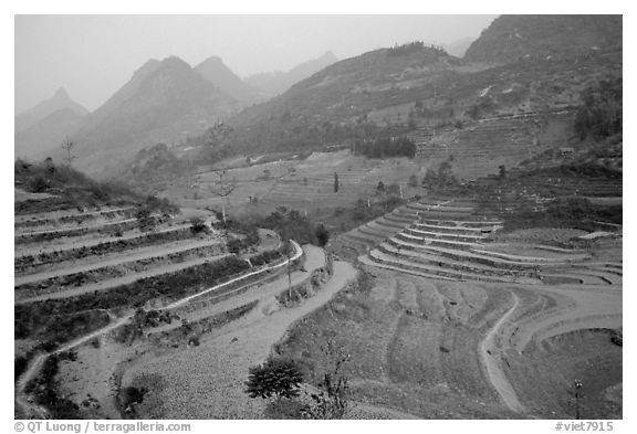 Dry cultivated terraces. Bac Ha, Vietnam (black and white)