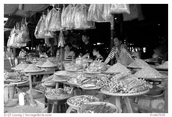 A variety of dried shrimp and fish for sale. Ha Tien, Vietnam (black and white)