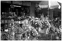 Flowers for sale outside the Ben Than Market. Ho Chi Minh City, Vietnam (black and white)