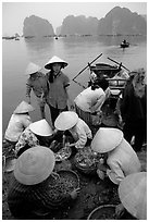 Women gathering around fresh fish catch. Halong Bay, Vietnam ( black and white)