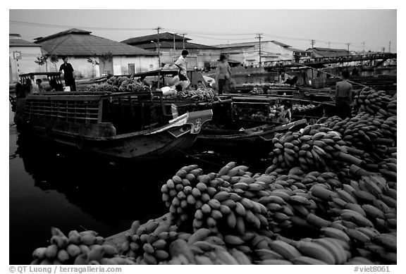 Boats bring loads of produce from the Delta on the Saigon arroyo. Cholon, Ho Chi Minh City, Vietnam