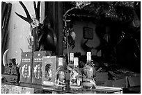 Traditional medicine is still favored by the population. A sample of traditional medicine items. Cholon, Ho Chi Minh City, Vietnam ( black and white)